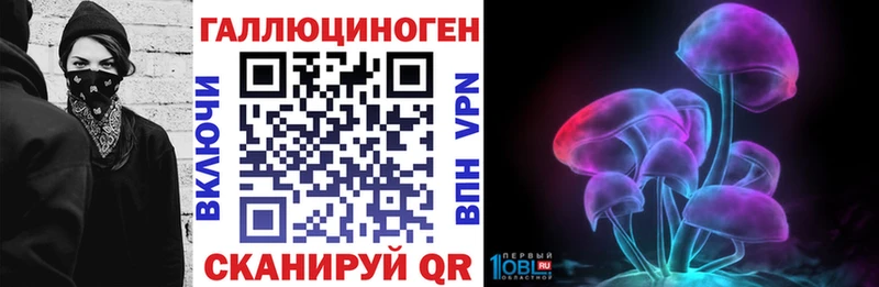 мега как зайти  Соль-Илецк  Галлюциногенные грибы GOLDEN TEACHER 
